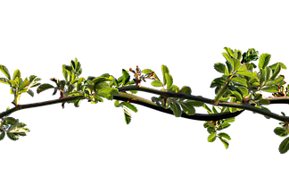 Jaki spray na zatkane ucho? Jaki spray na zatkane ucho?