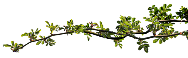 Jaki spray na zatkane ucho? Jaki spray na zatkane ucho?