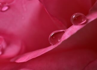 Jaka wilgotność ustawić na wentylatorze?