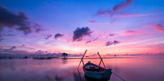 Jaki kolor kasku dla inwestora?