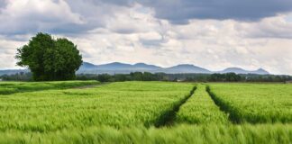 Jaki jest rozstaw zawiasów w drzwiach?