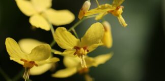 Jakie skarpetki do butów roboczych?