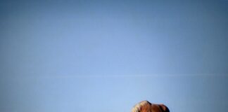 Ile kosztuje obicie kevlarem sprzęgła?