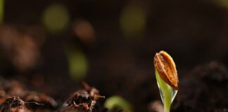 Czy podkład reaktywny trzeba szlifować?