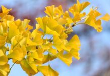 Jaka moc powinien mieć wentylator? Jaka moc powinien mieć wentylator?