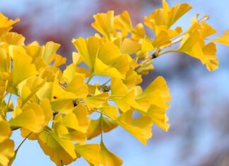 Jak zamontować wentylator do obudowy?