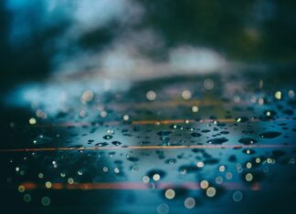 Czy odstraszacze ultradźwiękowe są skuteczne? Czy odstraszacze ultradźwiękowe są skuteczne?