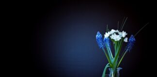 Ile waży Honda CR-V?