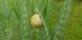 Czym uszczelnić pęknięty plastik?