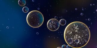 Ile mechanik bierze za wymianę oleju i filtrów?