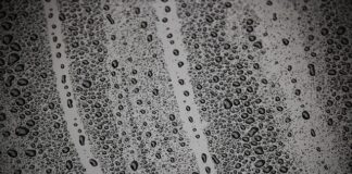 Co to jest mokre webasto?