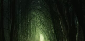 Co oznacza zielony kask na kopalni?