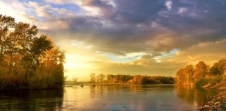 Co oznaczają kolory kasków ochronnych?