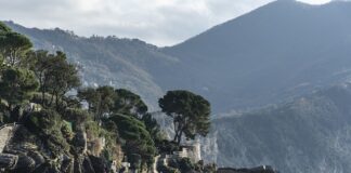 Ile kosztuje nabicie i odgrzybienie klimatyzacji samochodowej?