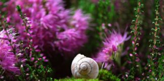 Gdzie stosuje się obudowy typu tower?