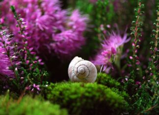 Gdzie stosuje się obudowy typu tower?