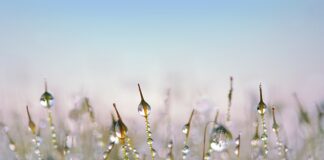 Co to jest Defrost w klimatyzacji?