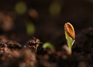 Czy na podkład reaktywny można położyć podkład epoksydowy?