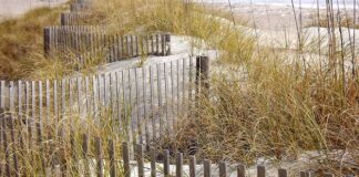 Ile kosztuje czyszczenie i malowanie ogrodzenia?