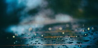 Czy odstraszacz na psy jest legalny?