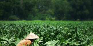 Co daje dodatkowy separator oleju?