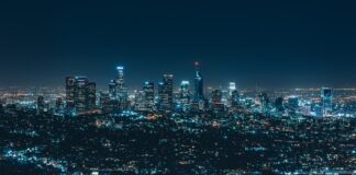 Co to za firma Purro?