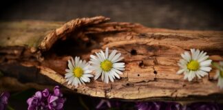 Czy na pękniętej sprężynie można jeździć?