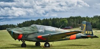 Czy naftalina działa na kuny?