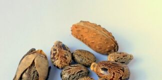 Ile trwa wymiana oleju i filtra w samochodzie?