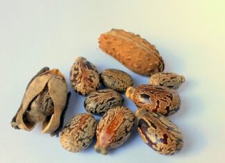 Ile trwa wymiana oleju i filtra w samochodzie?