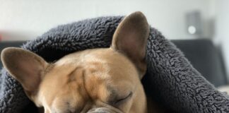 Jak rozgrzać silnik Diesla zima?