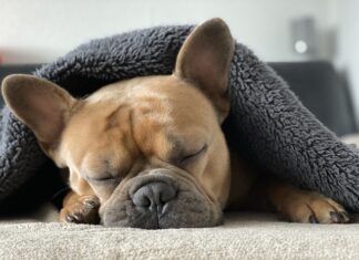 Jak rozgrzać silnik Diesla zima? Jak rozgrzać silnik Diesla zima?