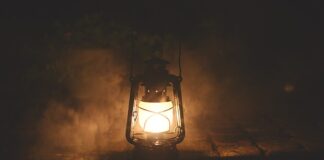 Ile pali ropy Webasto?