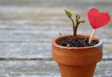 Co zrobić żeby rozciągnąć buty? Co zrobić żeby rozciągnąć buty?