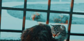 Jak pozbyć się przykrego zapachu z klimatyzacji?