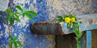 Jak uratować porysowane szyby?