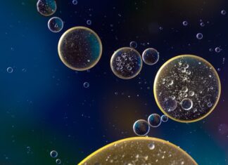 Z czego składa się zawieszenie?