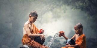 Jaka pianka do czyszczenia klimatyzacji?