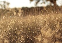 Ile trwa wymiana filtrów w samochodzie? Ile trwa wymiana filtrów w samochodzie?