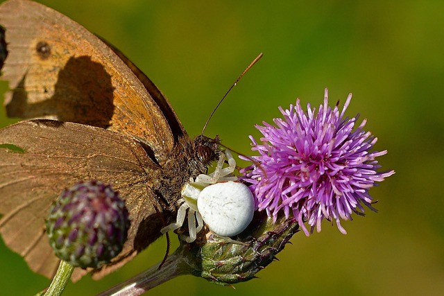 Jak dokładnie odkurzyć samochód? Jak dokładnie odkurzyć samochód?