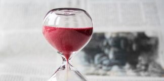 W jakich godzinach poluje kuna?