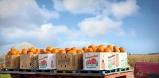 Co niszczy skrzynie biegów?