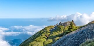 Jaka jest różnica między odzieżą roboczą a odzieżą ochronną?