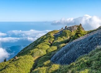 Jaka jest różnica między odzieżą roboczą a odzieżą ochronną? Jaka jest różnica między odzieżą roboczą a odzieżą ochronną?