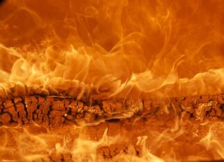 Jaka jest najpopularniejsza marka butów? Jaka jest najpopularniejsza marka butów?