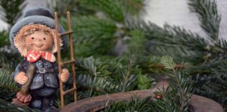 Ile kosztuje kominiarka?