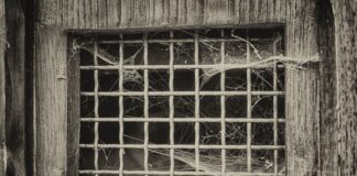 Jak zablokować szybę w aucie?