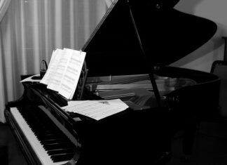 Co jest obok amortyzatora?