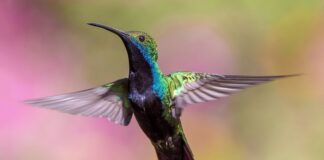 Kiedy nie można latać samolotem?