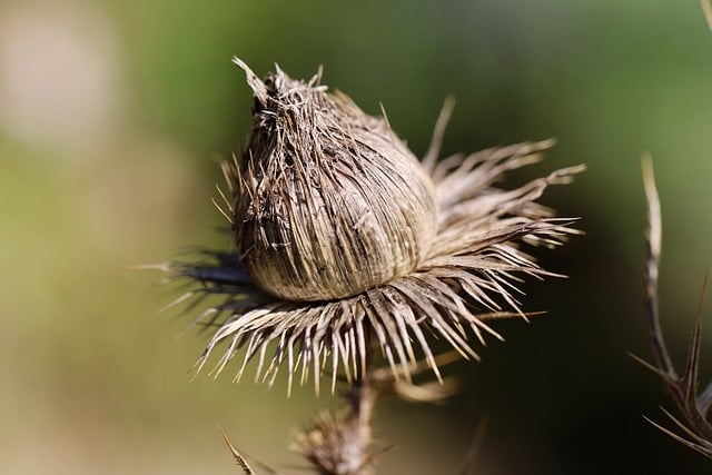 Czy skrobanie szyb rysuje? Czy skrobanie szyb rysuje?